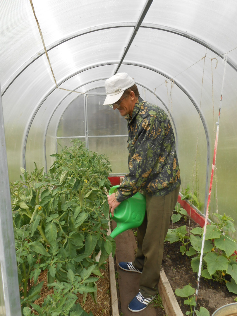 Проверка качества предоставления социальных услуг