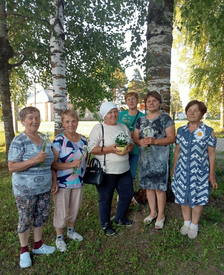 Ромашки в День семьи